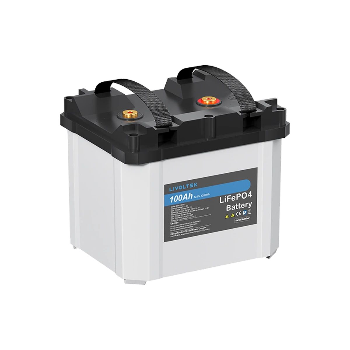 Livoltek LV LiFePO4 Battery 1.2kWh, 12V 100Ah — left view (official series photograph)